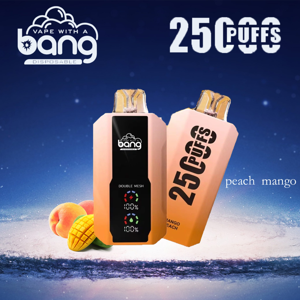 elfbar elfa master akku 25000 Puff Vapes Archives main image 0