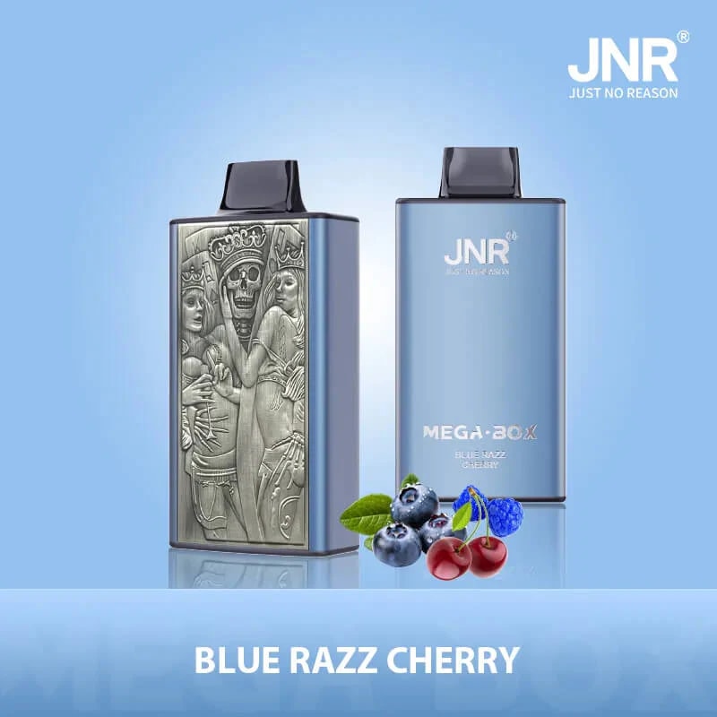 JNR Mega Box 25000 Puffs Vape Dual Mesh Coil Original E-Cigarette