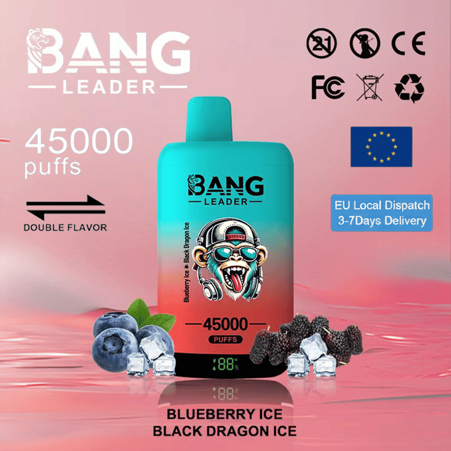 Bang Leader 45K Disposable Vape – 45K Puffs, Dual Flavors, LED Display & 18  Premium Flavors