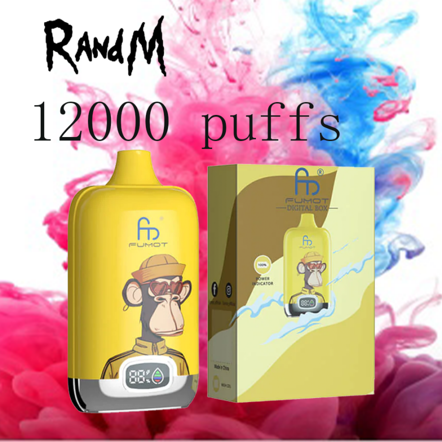 RandM Digital Box 12000 puffs Vape original E Zigarette