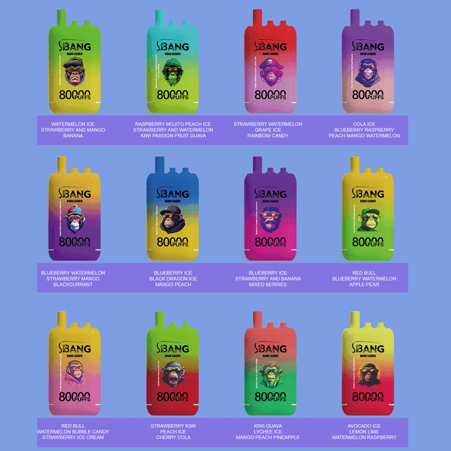 Bang Leader 80K Puffs Vape offre tre gusti intercambiabili, fino a 80.000 tiri, doppia bobina a rete, ricarica Type-C e 12 opzioni di gusto: perfetto per sessioni di svapo durature e saporite.