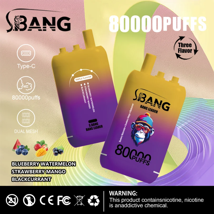 Bang Leader 80K Puffs Vape offre tre gusti intercambiabili, fino a 80.000 tiri, doppia bobina a rete, ricarica Type-C e 12 opzioni di gusto: perfetto per sessioni di svapo durature e saporite.