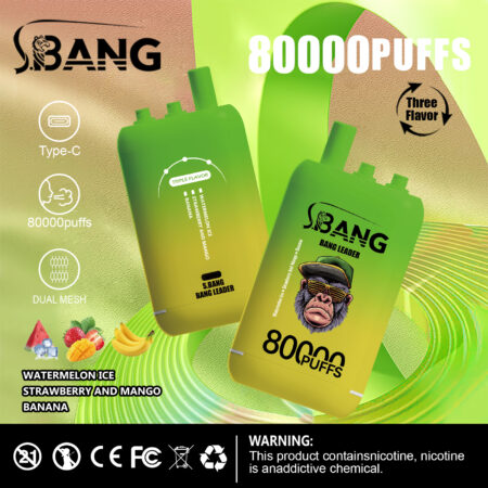 Bang Leader 80K Puffs Vape offre tre gusti intercambiabili, fino a 80.000 tiri, doppia bobina a rete, ricarica Type-C e 12 opzioni di gusto: perfetto per sessioni di svapo durature e saporite.