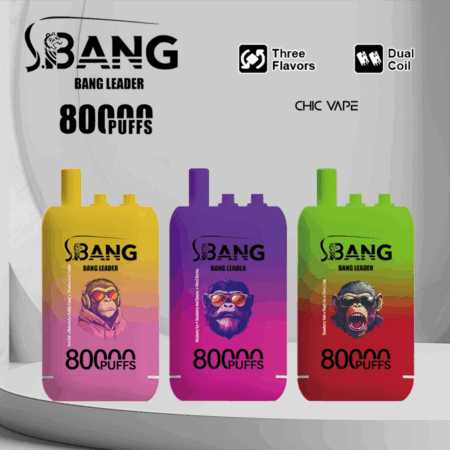 Bang Leader 80K Puffs Vape erbjuder tre omkopplingsbara smaker, upp till 80 000 puffs, dubbel mesh-spole, typ-C-laddning och 12 smakalternativ – perfekt för långvariga, smakrika vapingsessioner.