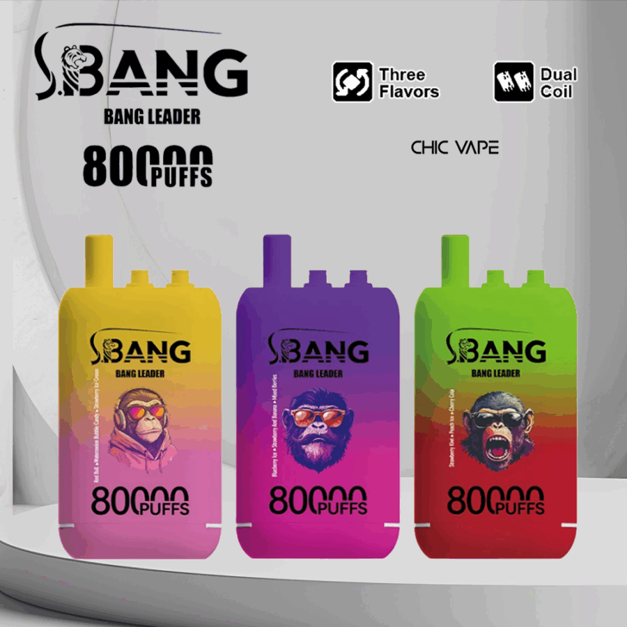Bang Leader 80K Puffs Vape offers three switchable flavors, up to 80,000 puffs, dual mesh coil, Type-C charging, and 12 flavor options—perfect for long-lasting, flavorful vaping sessions.