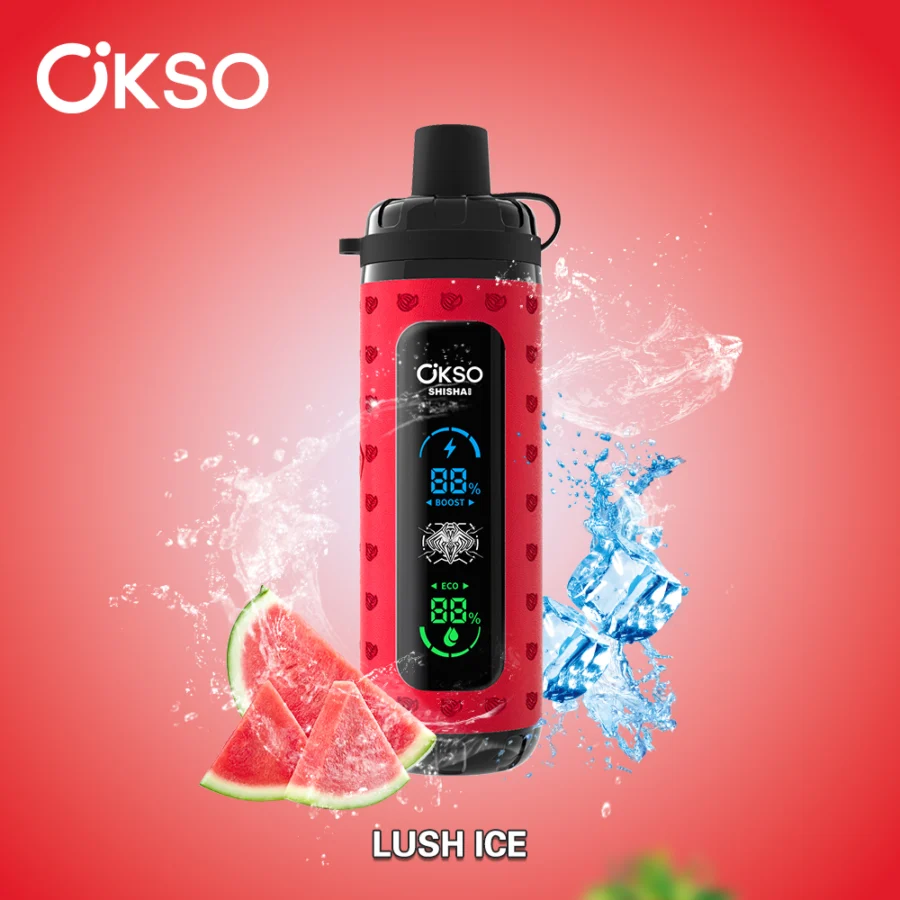 El vaporizador desechable OKSO Shisha Max 40K Puffs ofrece 40 000 bocanadas, 36 ml de líquido electrónico, bobina de malla, pantalla LED, carga tipo C, flujo de aire ajustable, control de potencia y 10 sabores en un diseño seguro para niños.